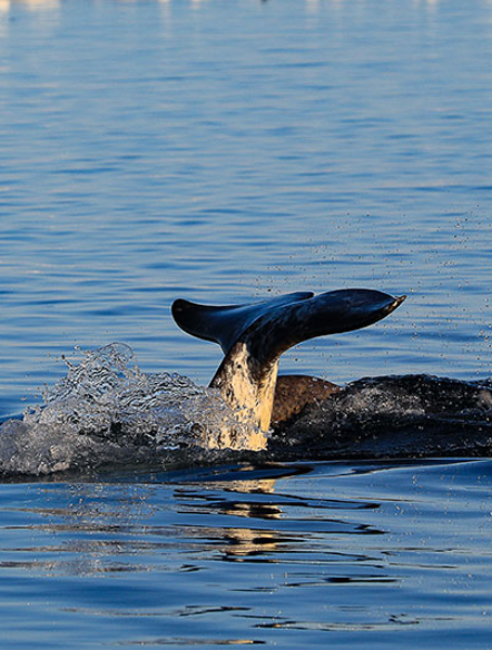 canada-north-outfitting-hunt-adventure-tourism-discover-nunavut-3