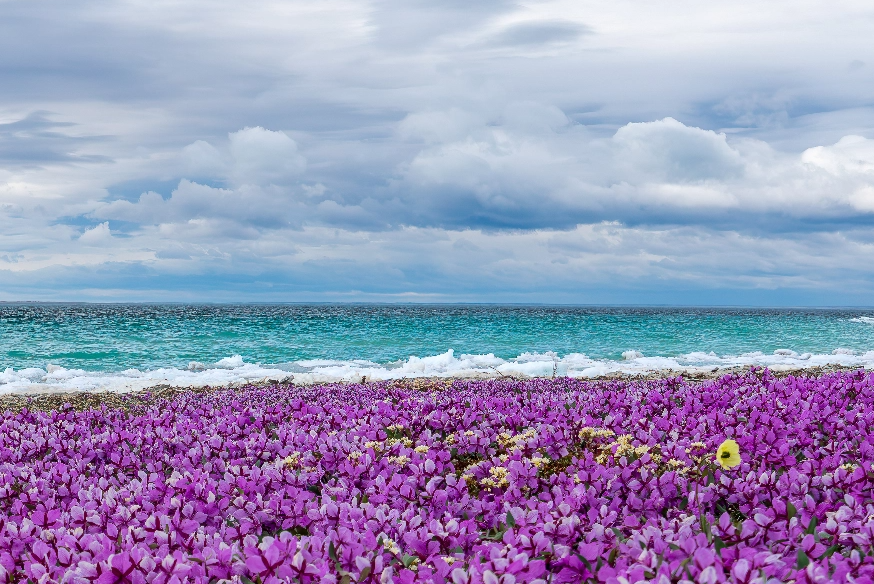 canada-north-outfitting-hunt-adventure-tourism-discover-nunavut-2-new-2